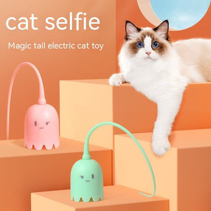 Pet Electric Cat Teaser toy