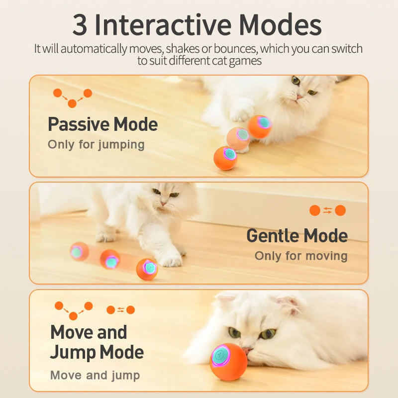 Cat/Dog Toys Smart Interactive Rolling and Bouncing Ball