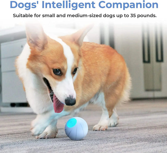 Smart Interactive Dog Toy Ball: Engaging Fun for Small and Medium Breeds (Automatic Moving Bouncing Rolling Ball)