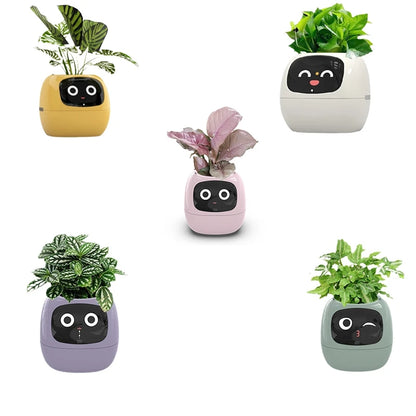 Ivy Smart Planter,Usb Rechargeable Indoor Small Flower Pot for Indoor Decoration Make Raising Plant Easy and Fun