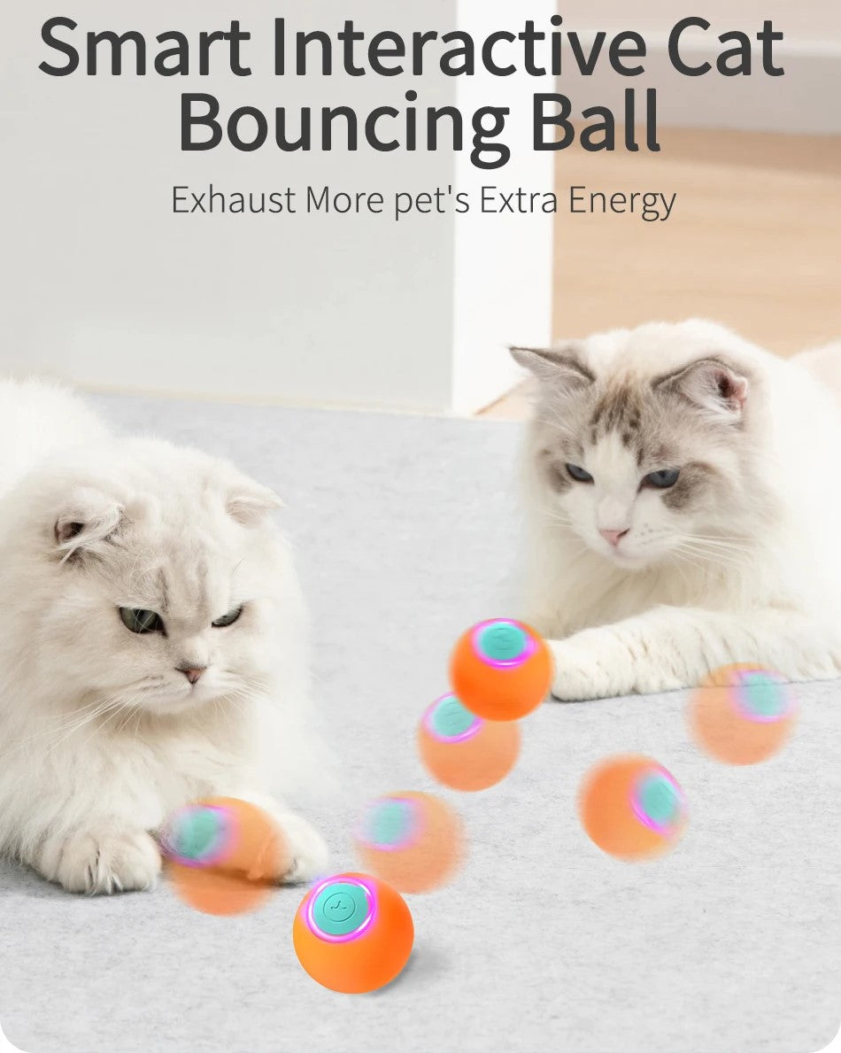 Smart Interactive Rolling and Bouncing Cat Toy Ball