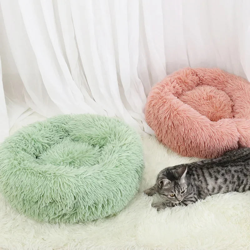 Dog Bed and Cat Bed: Round Plush Mat Sofa